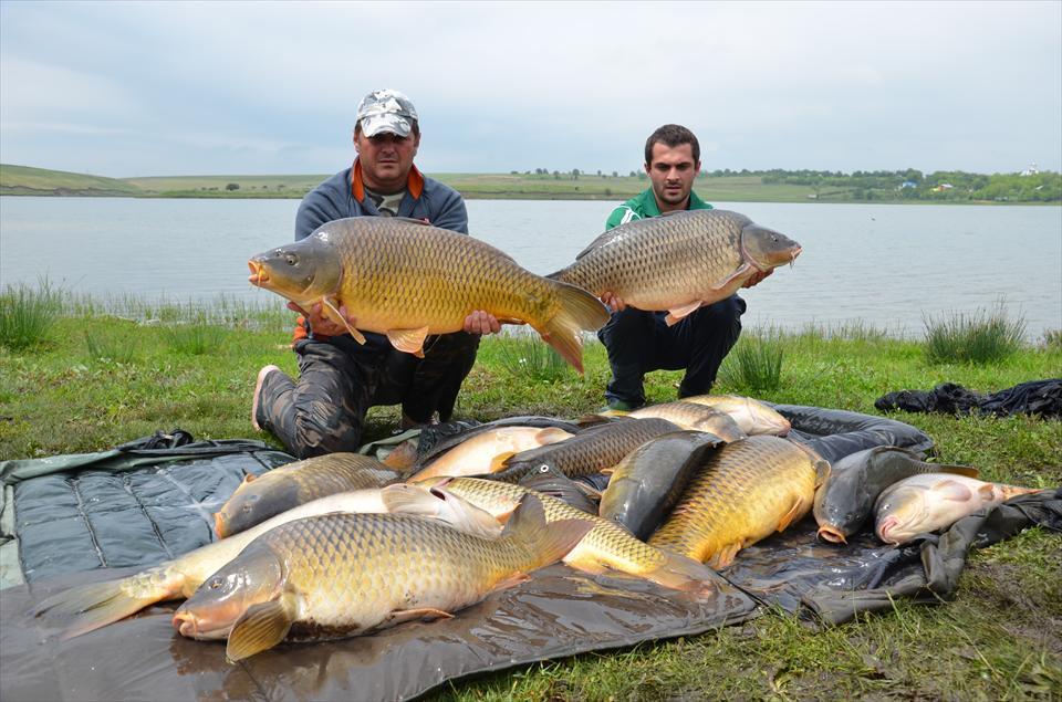  Capturi Sarulesti  - 1504844161161950765171464168075n.jpg